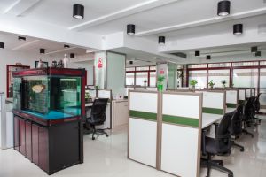 深圳市博盛宏建材有限公司